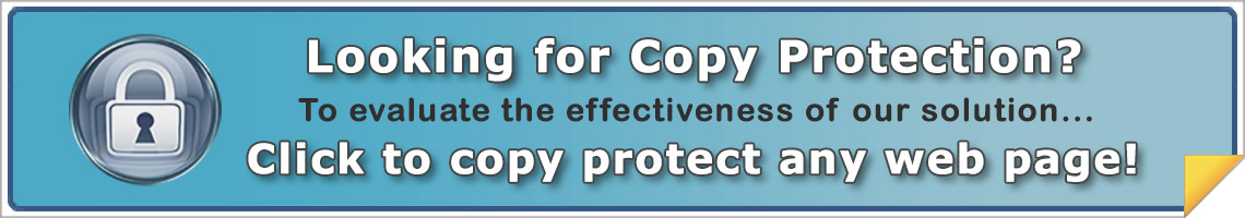 Test our copy protection with any web page